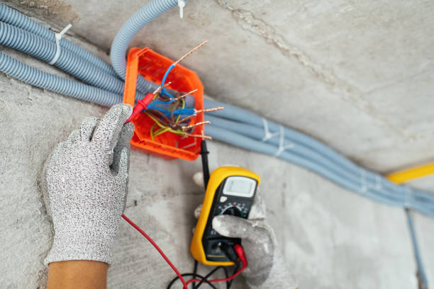 Best Electrical Rewiring Services  in Forest Lake, IL