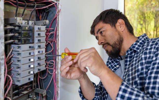 Best Licensed Electrician  in Forest Lake, IL